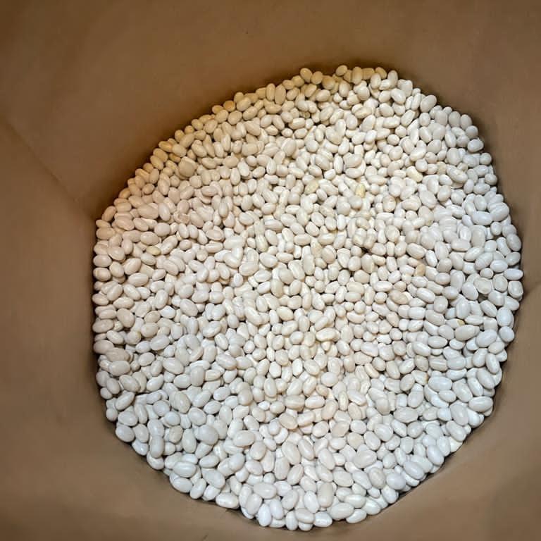 ALUBIA ARROZINA